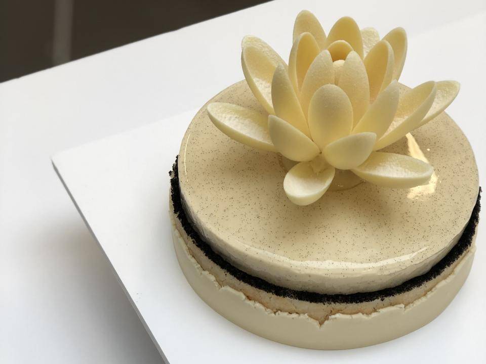 Авторский курс Франка Хааснута