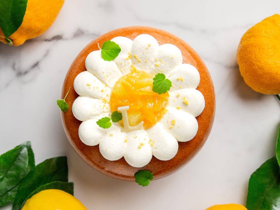 Авторский курс (Жульен Альварез)