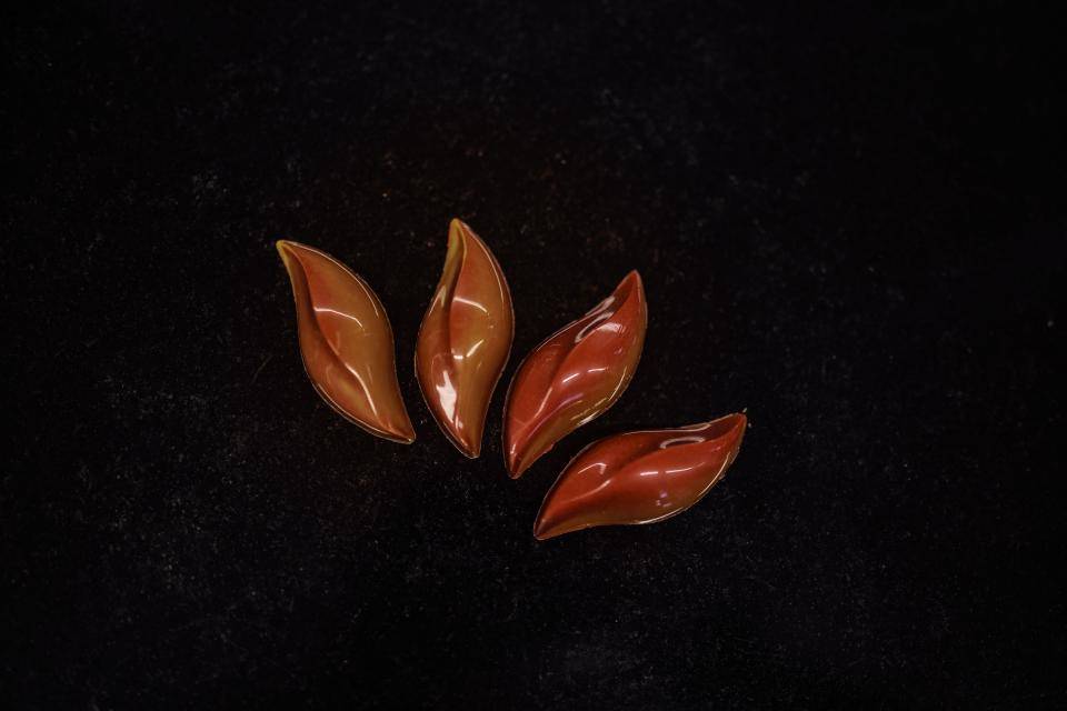 Chocolate Discovery 1.0 