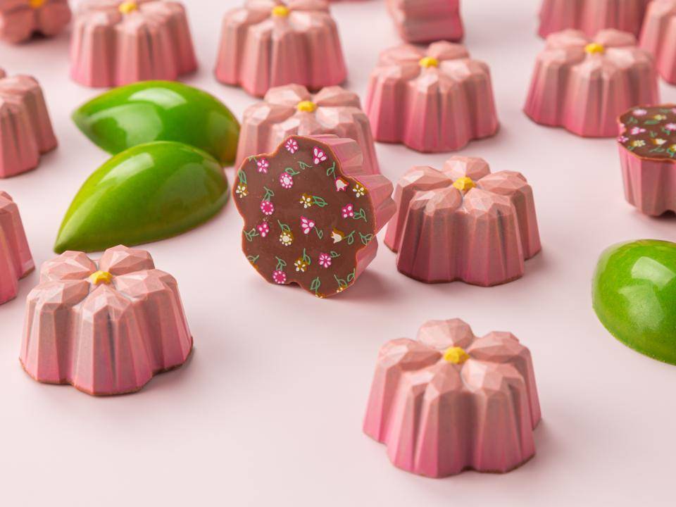 Введение в работу с шоколадом. Шоколадные конфеты ручной работы: уровень 1