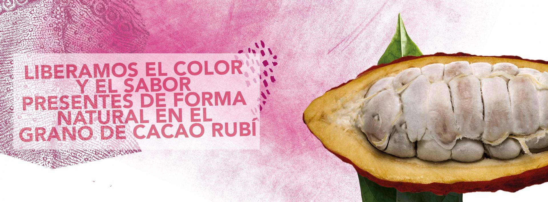 Ruby RB1