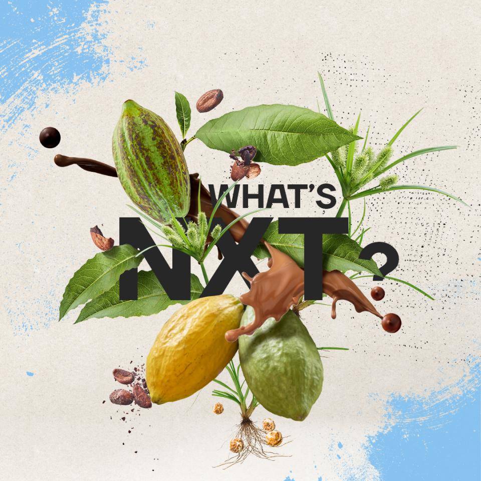 Callebaut NXT dairy free chocolate