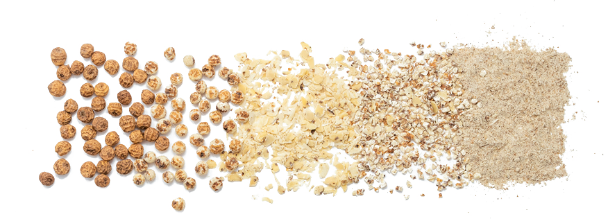 CAL-NXT-How-its-grown-Tigernuts