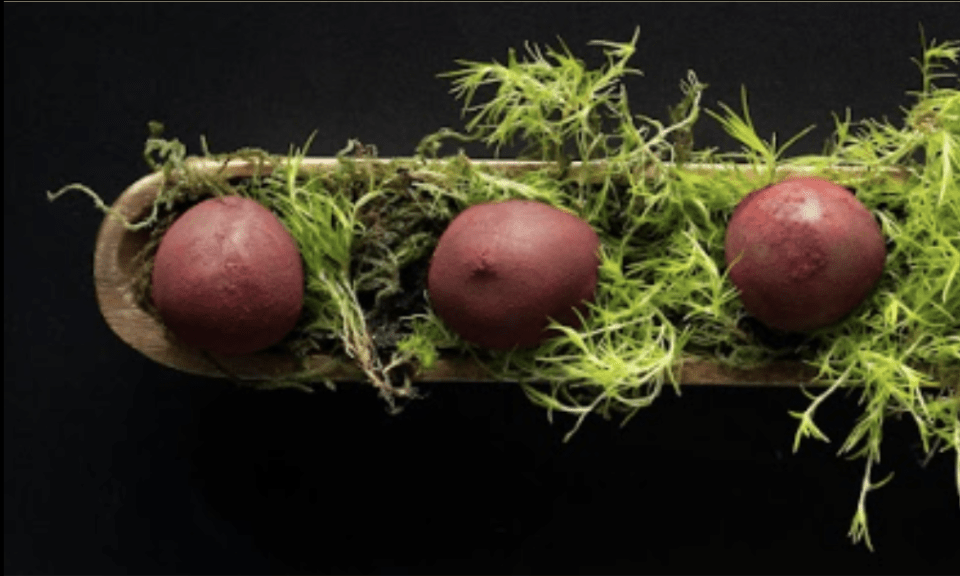 Chocolate Coated Frozen Raspberries recipe