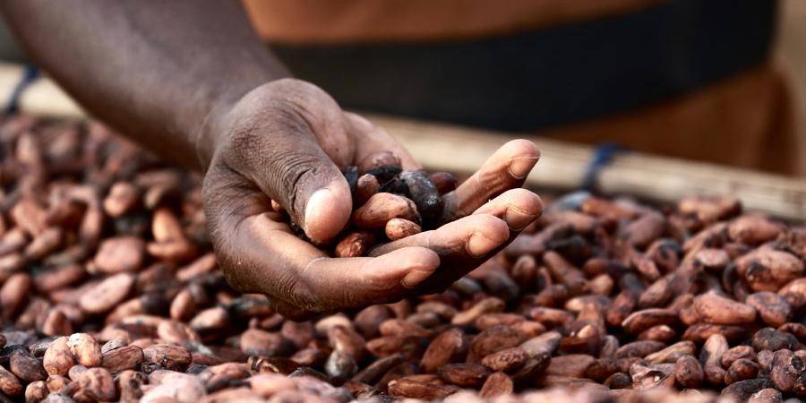 CALLEBAUT_traceable_cocoa_horizons