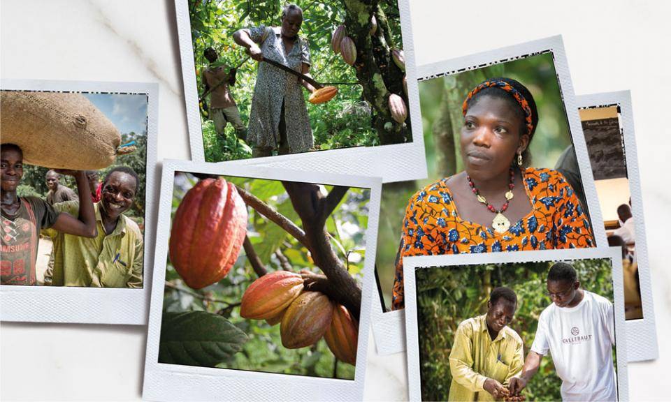 Callebaut Sustainability