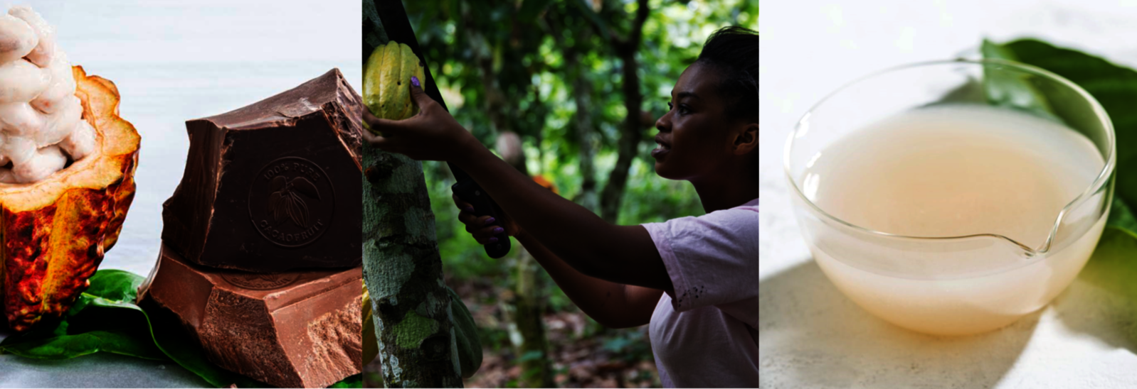 チョコレート イノベーション コンテスト2022