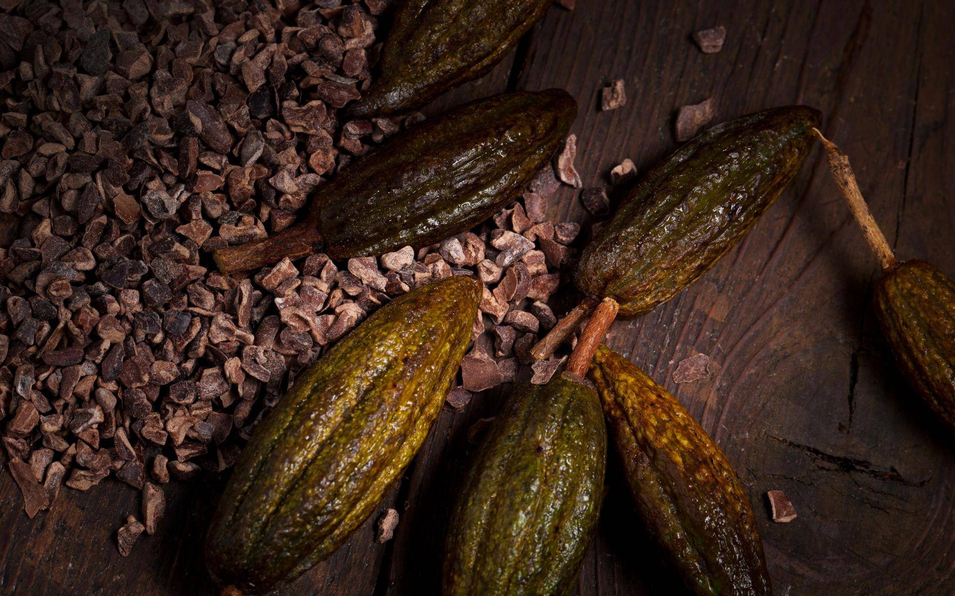 Cocoa ingredients callebaut