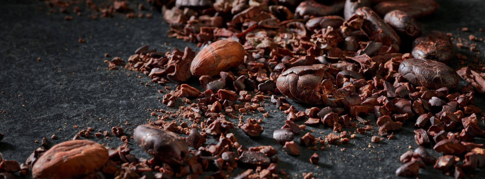 cocoa low-roasting process and bean-to-bar expertise