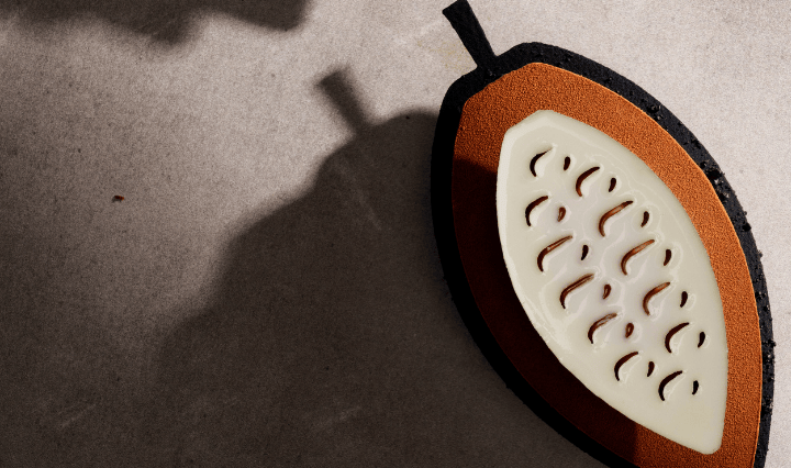 Cocoa 365 SoGood x Callebaut magazine feature