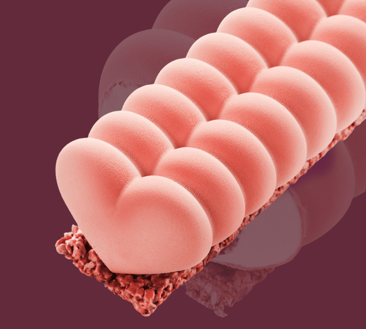 VALENTINES DAY IS RUBY IN COLOR