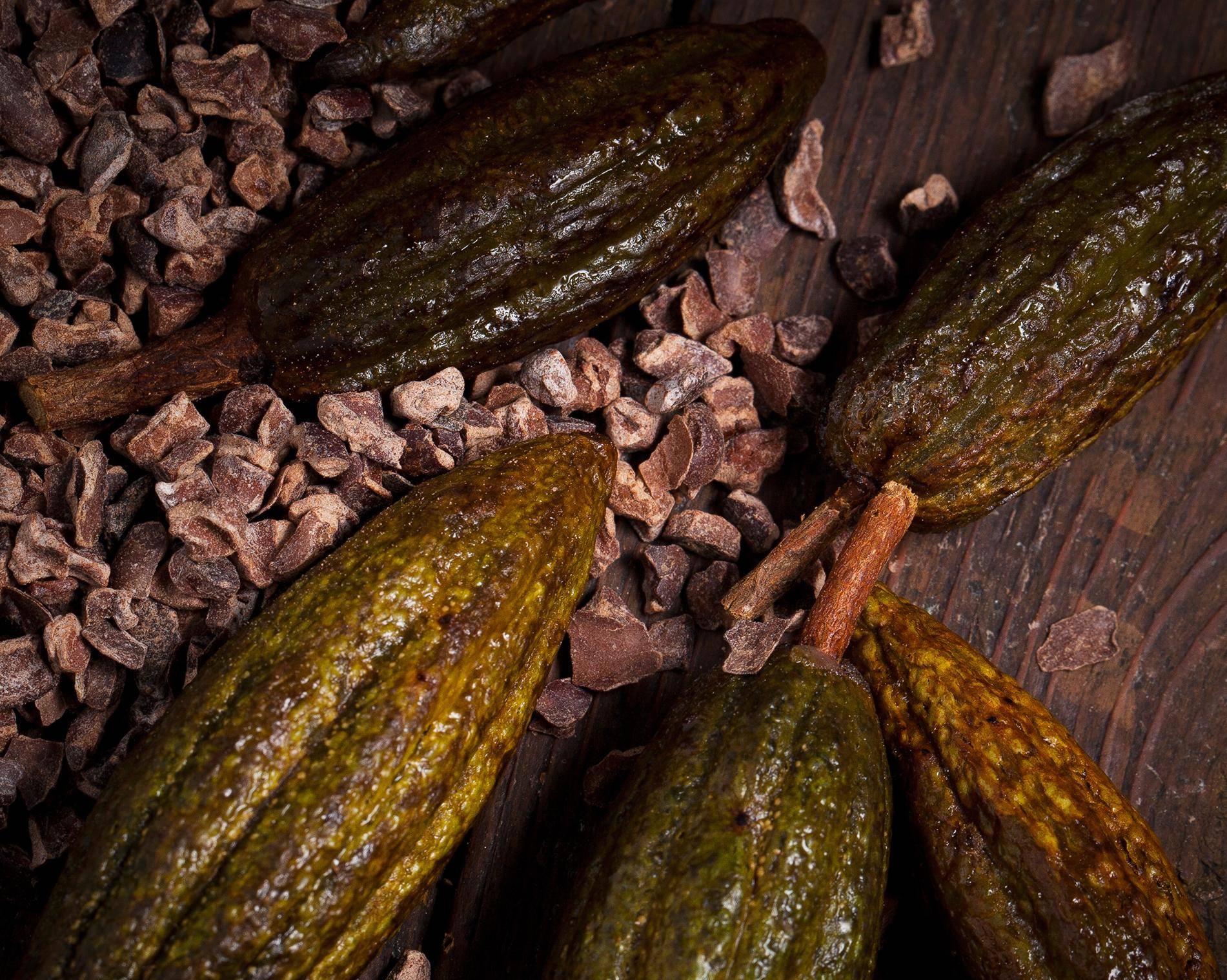 Cocoa ingredients