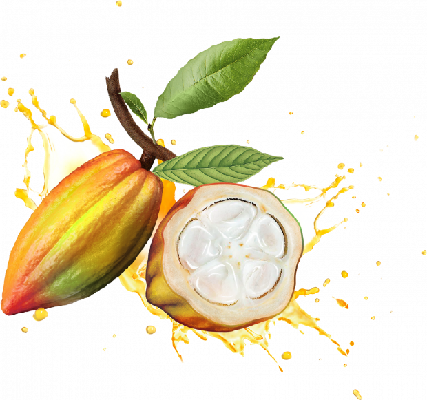 Wholefruit