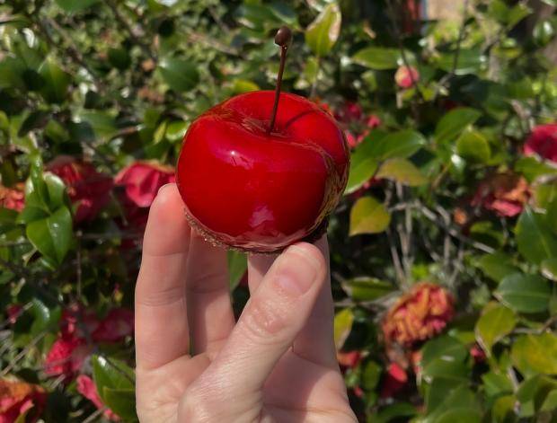 the cherry petit gateau