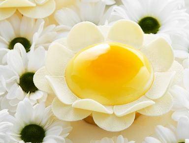 Авторский курс Мигеля Гуарро