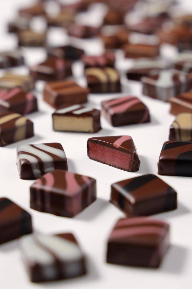 assorted framed ganaches with cross-section