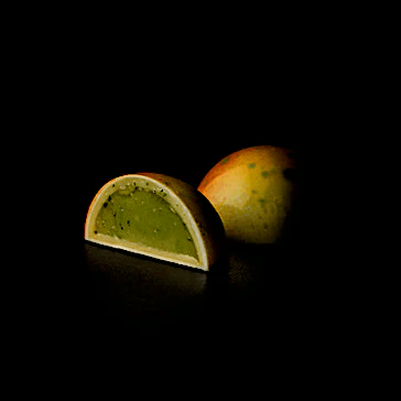 RAMON MORATO ÇİKOLATA MASTERCLASS - CHOCOLATE MASTERCLASS