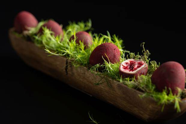 Chocolate panned raspberry