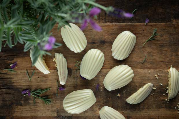 Lavender Madeleines