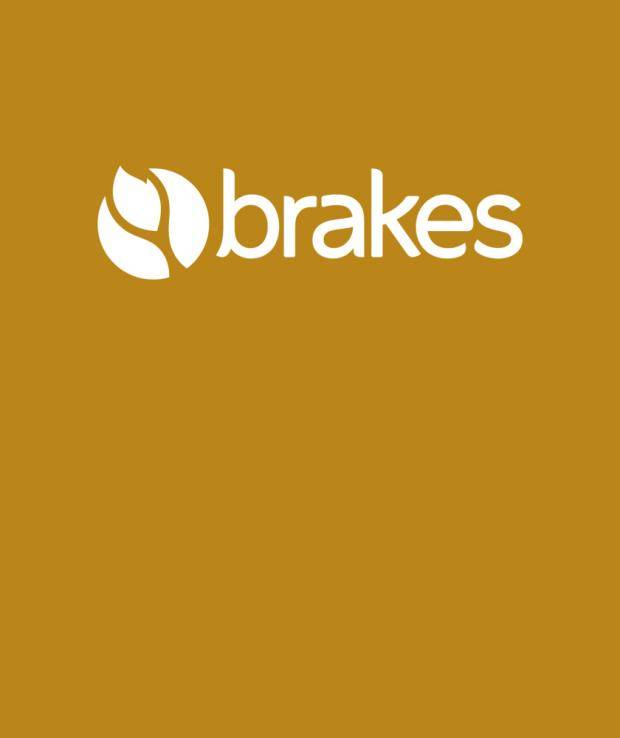 brakes