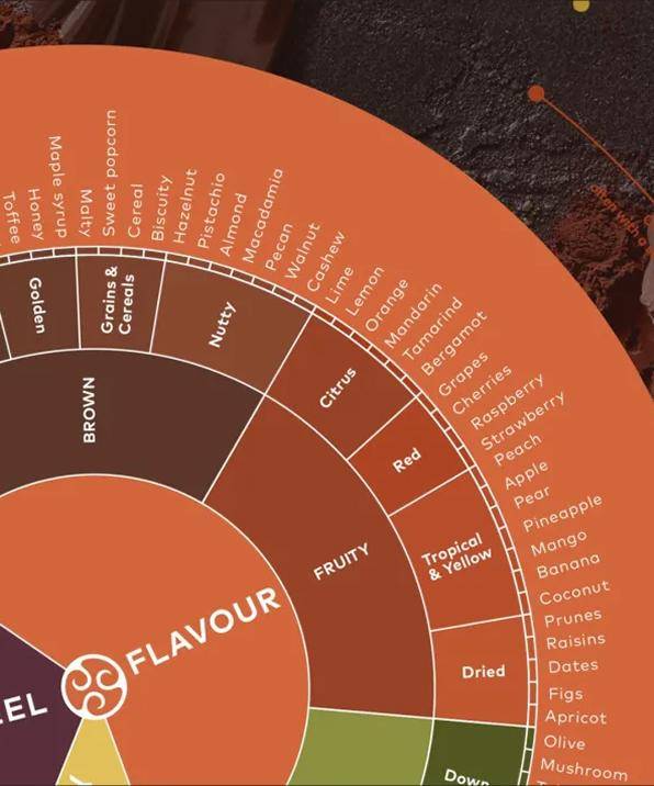 Callebaut Taste Wheel