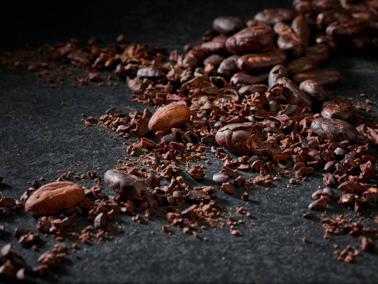 Каталог продукции Callebaut