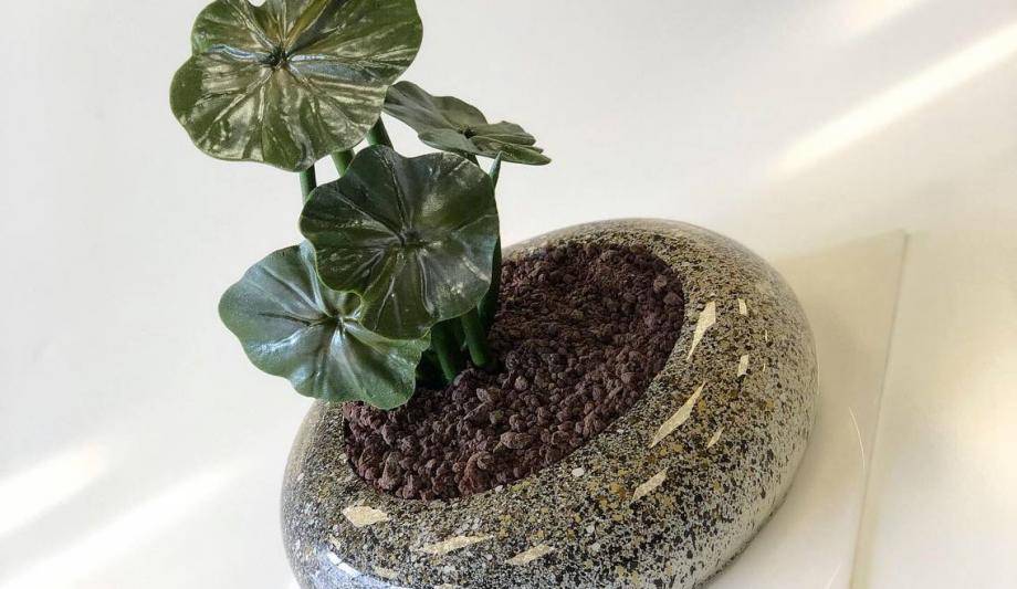 Чизкейк "Манго-маракуйя"