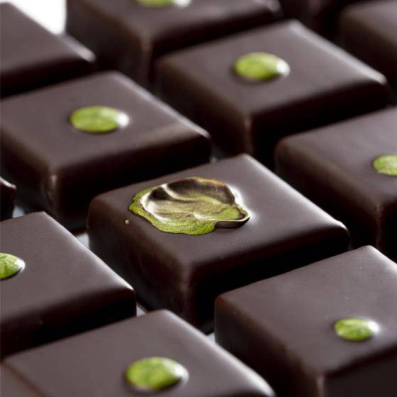 Cacao Barry Plant Based Bulletin
