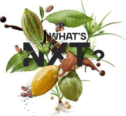 CAL-NXT-Whats-NXT