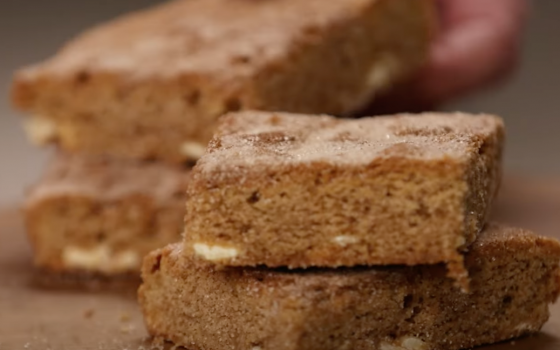 Gluten Free Snickerdoodle Blondies