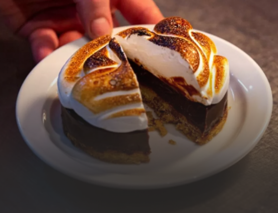 S’MORES PIE