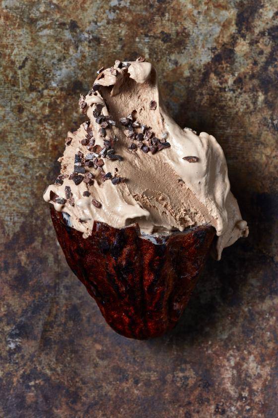 Ijsbereidingen met de 5 kleuren van chocolade