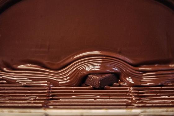 Chocolate Discovery 1.0 