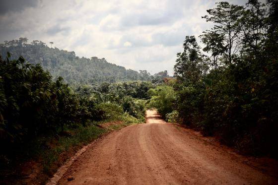 Callebaut and the EUDR: Crafting a More Sustainable Future Together