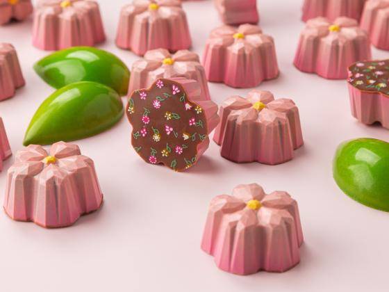 Шоколадные конфеты ручной работы: уровень 1